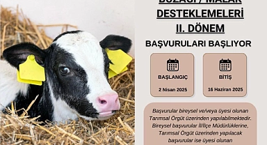 Hayvancılıkla uğraşanlar dikkat! Buzağı desteklemeleri için başvurular başlıyor!