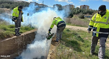 Kepez'de sivrisinekle mücadelede kışlak ilaçlama çalışmaları sürüyor