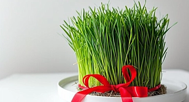 Nevruz Bayramı'nda Semeni Geleneği