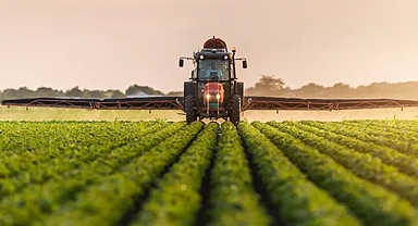 Tapu sahipleri için kritik uyarı! 180 gün içinde başvuru yapmazsanız hakkınızı kaybedebilirsiniz!