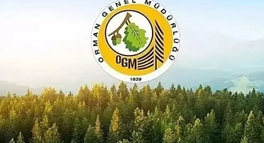 Tarım ve Orman Bakanlığı Orman Genel Müdürlüğü 81 ilde 4500 personel alımı yapacak!