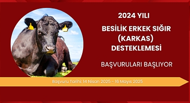 2024 yılı Besilik Erkek Sığır (Karkas) Desteği başvuruları başlıyor