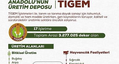 Anadolu’nun Üretim Deposu TİGEM, Tarımsal Kalkınmaya Güç Katıyor