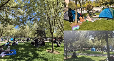 Av. Güneş Pehlivan;