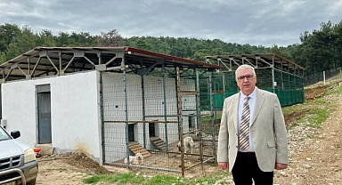 Başkan Atılgan, hayvan bakımevini inceledi