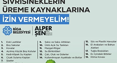 Biga Belediyesi'nden sivrisinek uyarısı: Üreme alanlarına karşı birlikte mücadele edelim