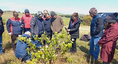 Bozcaada’da yerli ve milli üzüm çeşitlerinin yaygınlaştırılması konuşuldu