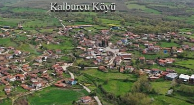 Çan’da Şap Hastalığı Alarmı: Kalburcu Köyü karantinaya alındı