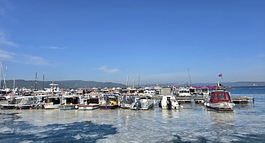 Çanakkale Boğazı alarm veriyor! Müsilaj kabusu artıyor