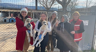 Çanakkale'de Mart ayında 25 kedi ve 59 köpek yeni yuvalarına kavuştu