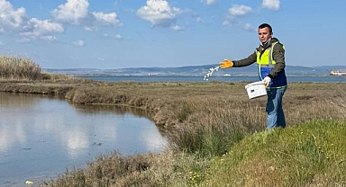 Çardak'ta su birikintilerinde ilaçlama çalışması
