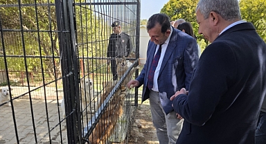 Gökçeada Belediyesi Hayvan Bakımevi'ne ilk ruhsat verildi
