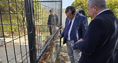 Gökçeada Belediyesi Hayvan Bakımevi'ne ilk ruhsat verildi
