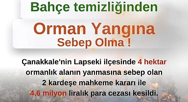Lapseki'de bahçe temizliği yaparken 4 hektar ormanlık alanı yakan 2 kardeşe ceza