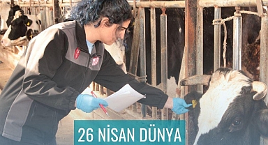 Müdür Ergün Demirhan’dan Dünya Veteriner Hekimler Günü mesajı