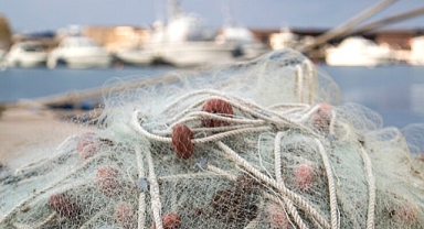Palamut ve Torik avcılığına yeni düzenleme