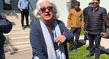 Süheyla Doğan, Su Zirvesi'nden çıkarıldı
