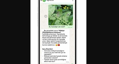 AgriGO.AI ile Çiftçiye WhatsApp Üzerinden Yapay Zekâ Desteği