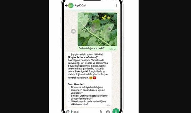 AgriGO.AI ile Çiftçiye WhatsApp Üzerinden Yapay Zekâ Desteği