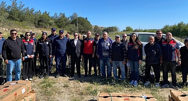 Bozcaada'da %50 hibe destekli zeytin fidanları dağıtıldı