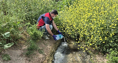 Çanakkale'de çeltik alanlarında sivrisinek mücadelesi