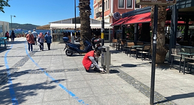 Çanakkale'de hamamböceklerine karşı mücadele