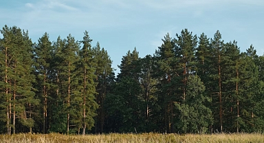 Çanakkale’de ormanlara girişler o tarih itibariyle yasaklandı