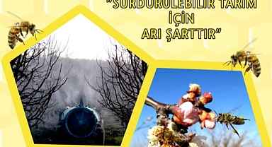 Çanakkale İl Tarım Müdürlüğü’nden üreticilere arı dostu ilaçlama uyarısı