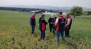 Cuma buluşmalarında üreticilerle sahada birebir görüşmeler devam ediyor