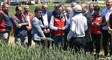Gelibolu’da tarla günü etkinliği: Yeni buğday ve arpa çeşitleri tanıtıldı