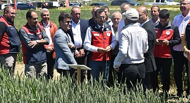 Gelibolu’da tarla günü etkinliği: Yeni buğday ve arpa çeşitleri tanıtıldı