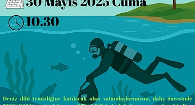 Gökçeada'da deniz dibi ve kıyı temizlenecek