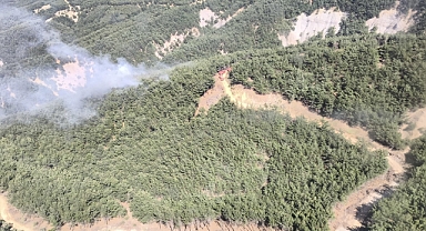 Gökçeada Marmoros Mevkii'nde Orman Yangını