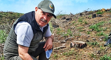 Çanakkale Orman Bölge Güzelyalı'da çam ağaçlarının kesimini durdurdu