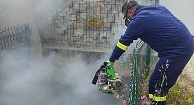 Kepez Belediyesi’nden yaz öncesi yoğun ilaçlama mesaisi