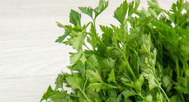 Kişnişin faydaları nelerdir? Kişniş neye iyi gelir? İşte merak edilenler