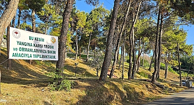 Yangın tedbiri mi, manzara operasyonu mu?