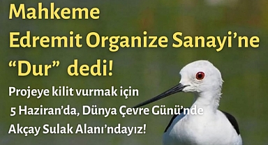 Akçay Sulak Alanı’nda Sera OSB’ye Mahkemeden “Dur” Kararı