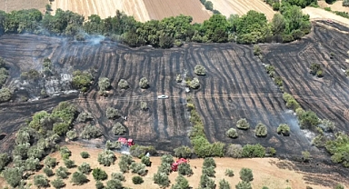Bayramiç’te orman yangınına hızlı müdahale