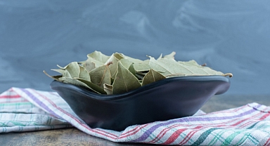 Bu Yaprak Hem Ağrı Kesiyor Hem Strese İyi Geliyor!