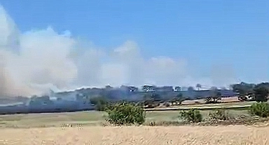 Çan’da tarım arazisinde çıkan yangın kontrol Altında