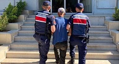 Çanakkale'de biçerdöverden kaynaklanan yangın korkuttu 1 kişi gözaltına alındı