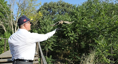 Çanakkale'de tedavileri tamamlanan yaban hayvanları doğaya salındı
