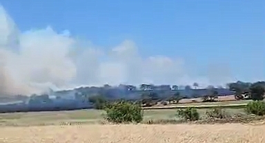 Çanakkale’nin Çan İlçesinde Anız Yangını! Yol Trafiğe Kısmen Kapandı, Ekipler Müdahale Ediyor