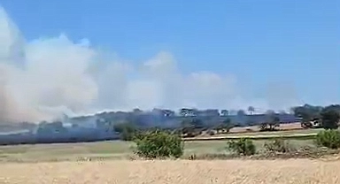 Çanakkale’nin Çan İlçesinde Anız Yangını! Yol Trafiğe Kısmen Kapandı, Ekipler Müdahale Ediyor