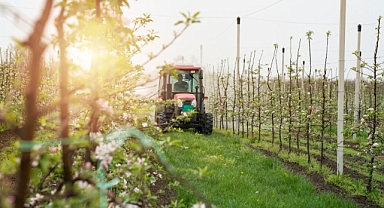 Çiftçiye Müjde! 5 Milyar 519 Milyon TL Destekleme Ödemesi Hesaplara Yatırılıyor!