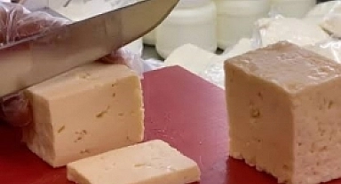 ÇOMÜ’den Peynircilik Atağı: Peynircilik Araştırma Merkezi Kuruldu!
