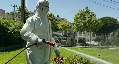Gelibolu Belediyesi’nden haşereyle kararlı mücadele