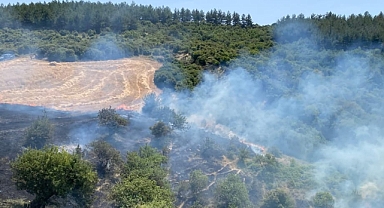 Gelibolu Fındıklı Köyü'nde yangın