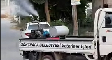 Gökçeada’da sivrisinekle mücadele aralıksız sürüyor